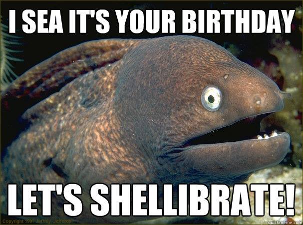 Yea it's your birthday, let's shellibrate (picture of eel)